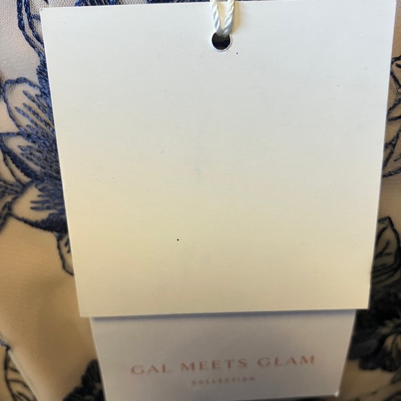 ✨ Gal Meets Glam “Rosemary” Dress – Size 16 – BNWT ✨ - Picture 7 of 7